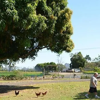 Beerwah Glasshouse Motel
