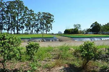 Beerwah Glasshouse Motel 3*,